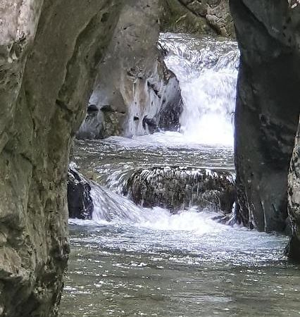 Rural L'Ortiga Blanca Hotel Queralbs Ngoại thất bức ảnh
