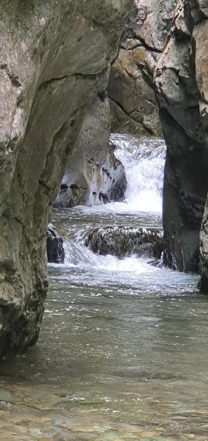 Rural L'Ortiga Blanca Hotel Queralbs Ngoại thất bức ảnh